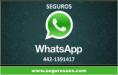/album/seguro-de-auto/whats-png/