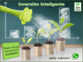 /album/planes-de-seguros/fdi-png/